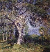 Guy Rose The Oak oil painting reproduction